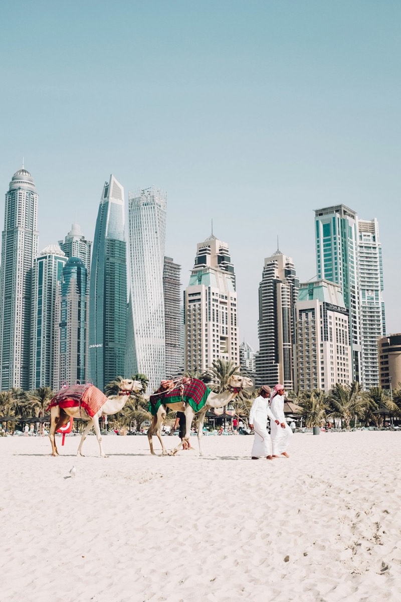 Waterfront offices: Marina & JLT
